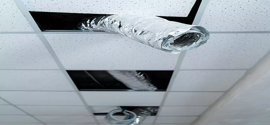 Our Air Duct Pet Hair Removal Services in East Orange, NJ