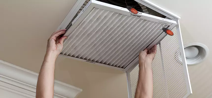 Our Insect Removal from Air Ducts Services in East Orange, NJ
