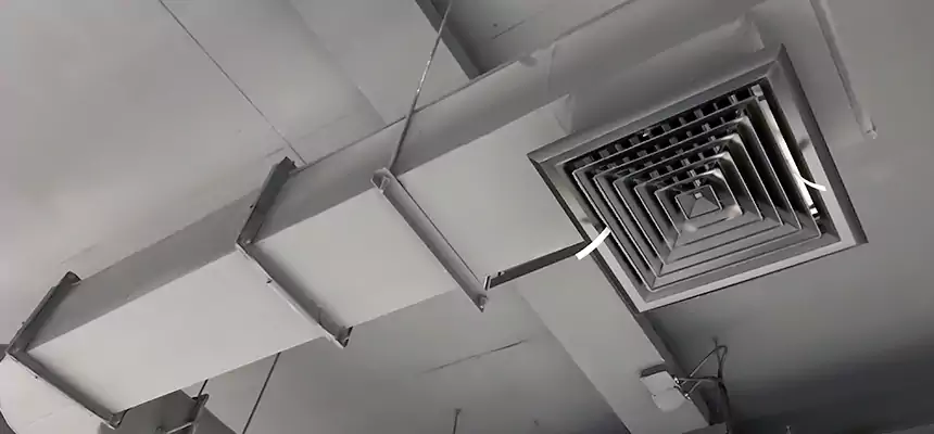 Our Pest Removal From Ducts Services in East Orange, NJ