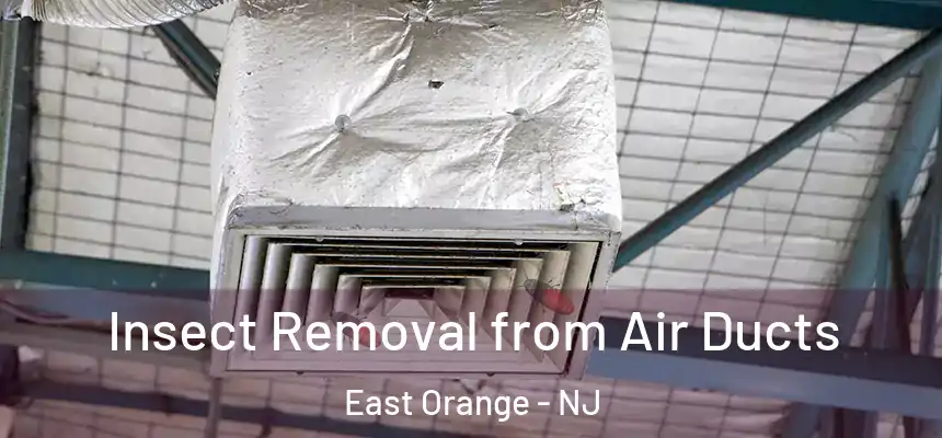 Insect Removal from Air Ducts East Orange - NJ