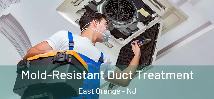 Mold-Resistant Duct Treatment East Orange - NJ