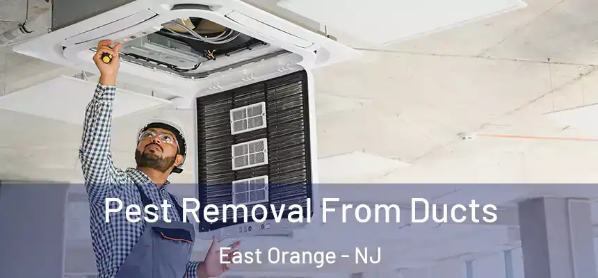 Pest Removal From Ducts East Orange - NJ