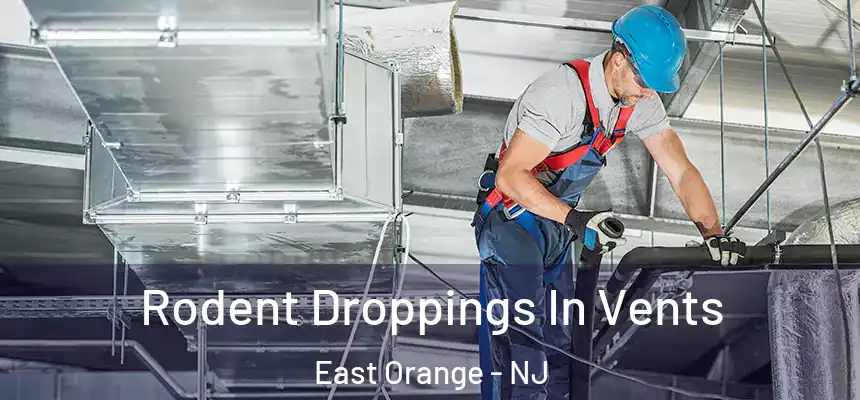 Rodent Droppings In Vents East Orange - NJ