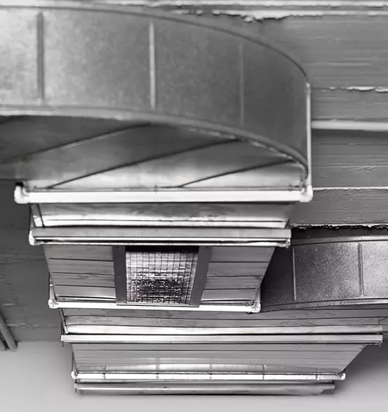 Professional Air Duct Pest Removal in East Orange, NJ