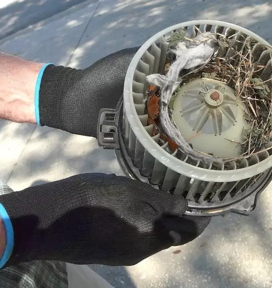 About Air Duct Rat Removal in East Orange, NJ