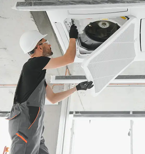 About Air Duct Rodent Removal in East Orange, NJ