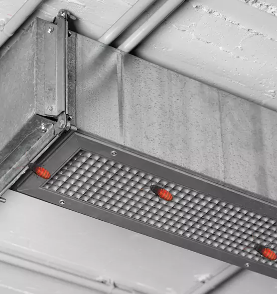 Affordable Insect Removal from Air Ducts in East Orange, NJ