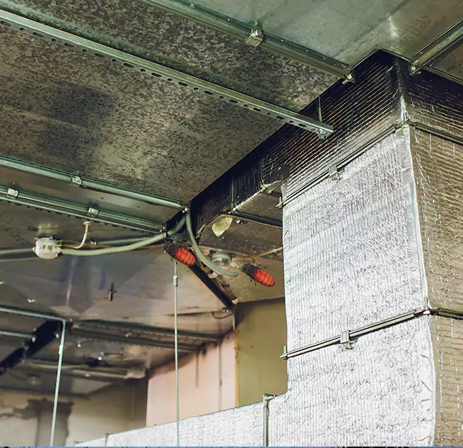 Why Homeowners & Businesses Trust Us in East Orange, NJ?