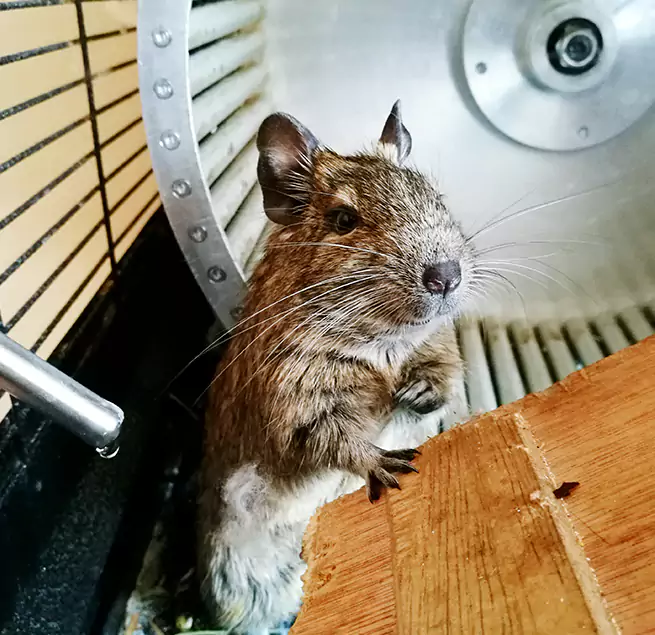 Why Homeowners & Businesses Trust Us East Orange, NJ?