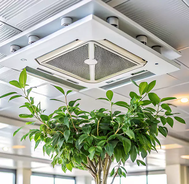 Why Homeowners & Businesses Trust Us in East Orange, NJ