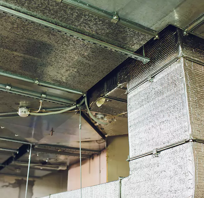 Why Homeowners & Businesses Trust Us in East Orange, NJ?